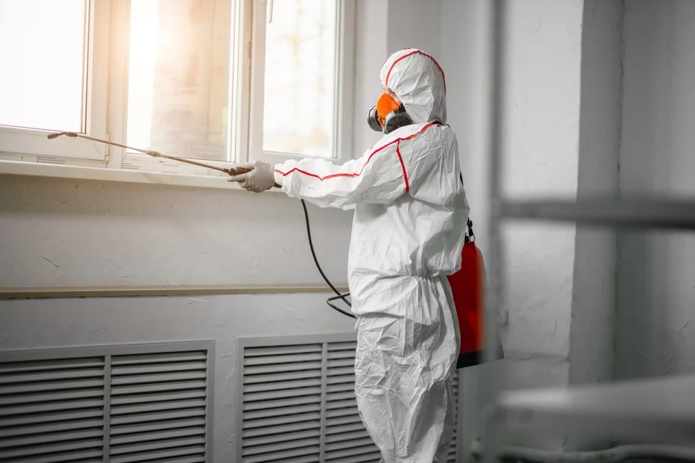 Professional mold remediation services in Terry, MS